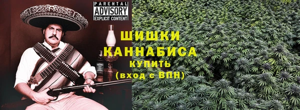 амф Новодвинск