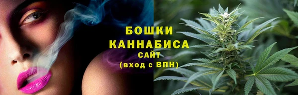стафф Новокубанск