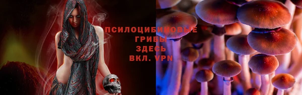 экстази Новозыбков