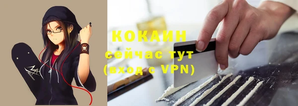 стафф Новокубанск