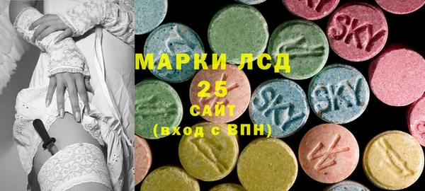 прущие грибы Удомля