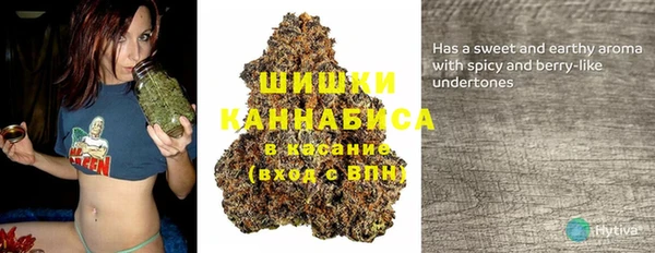 амф Новодвинск