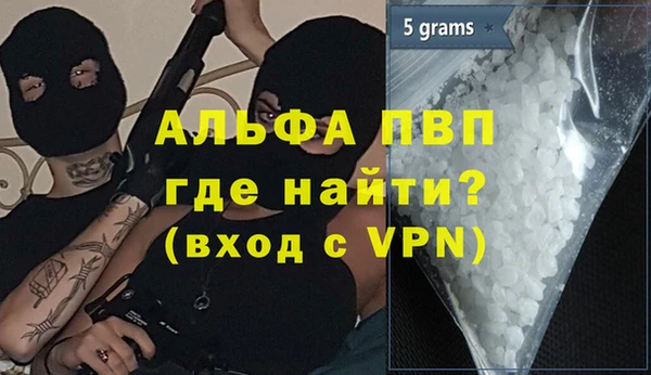 стафф Новокубанск