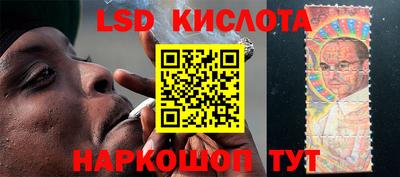 индика Сланцы