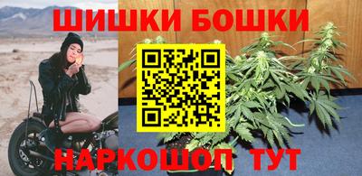 индика Сланцы