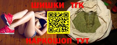 индика Сланцы