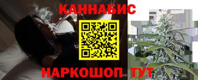 индика Сланцы