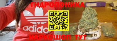 винт Славянск-на-Кубани