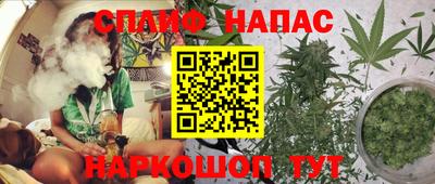 ПСИЛОЦИБИНОВЫЕ ГРИБЫ Гусиноозёрск