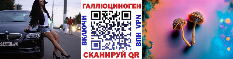 кракен сайт Электросталь Псилоцибиновые грибы GOLDEN TEACHER